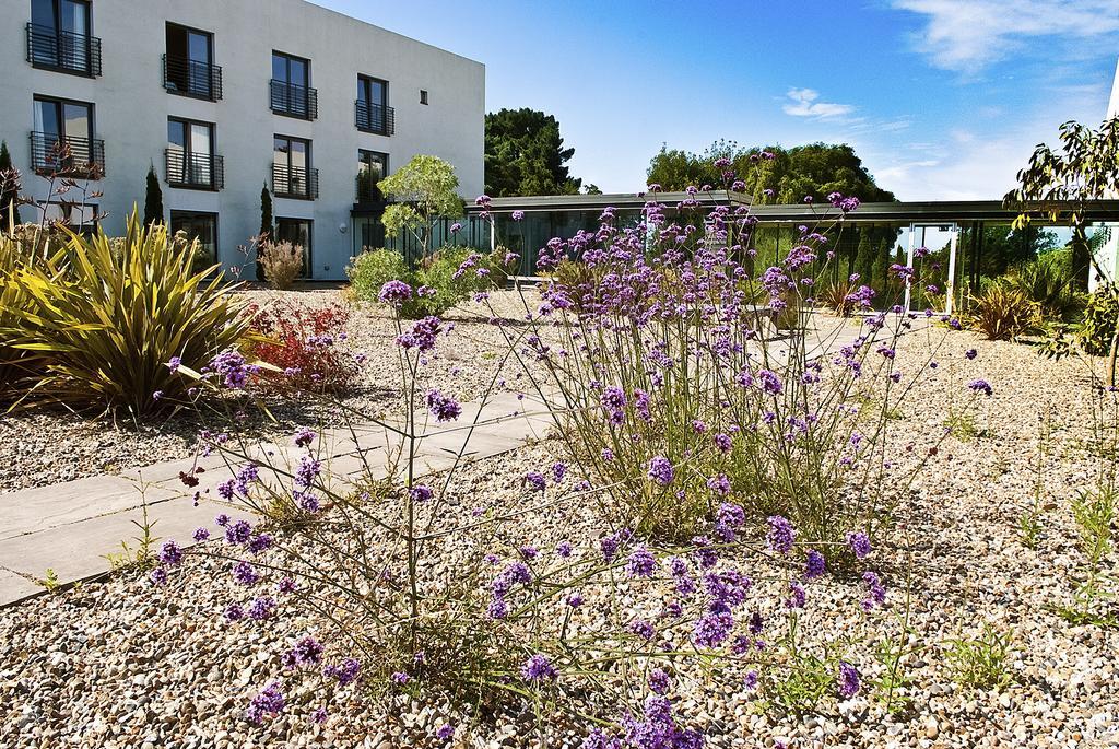 Lifehouse Spa And Hotel Frinton-on-Sea Exteriör bild